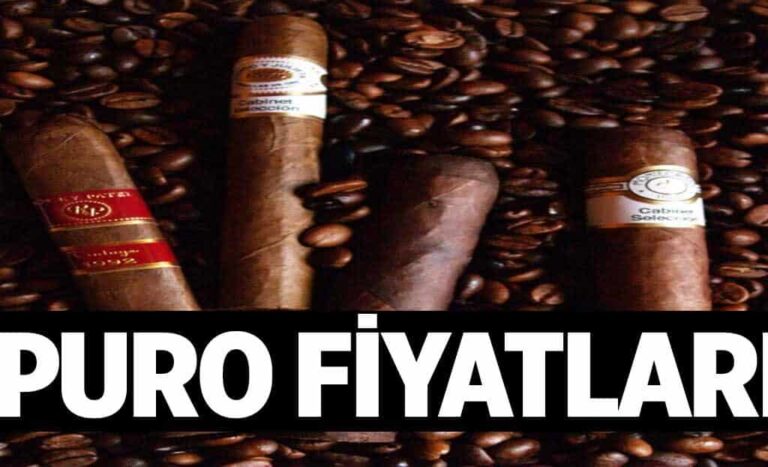 Puro Fiyatlari 1024x622nit.jpg